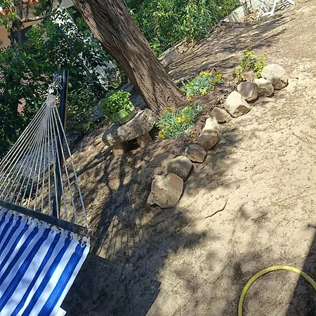 Paradise